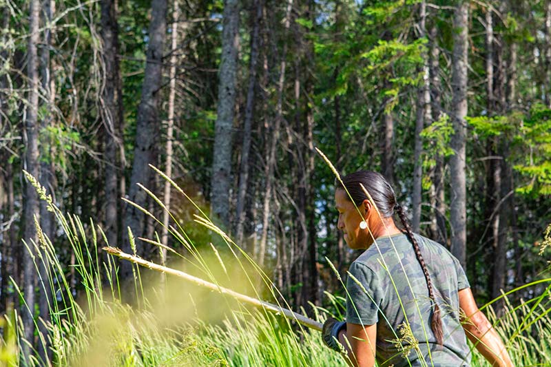 Jerry Hunter arbre- Pow wow Abitibi360